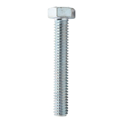 Hex Head Screw Nut