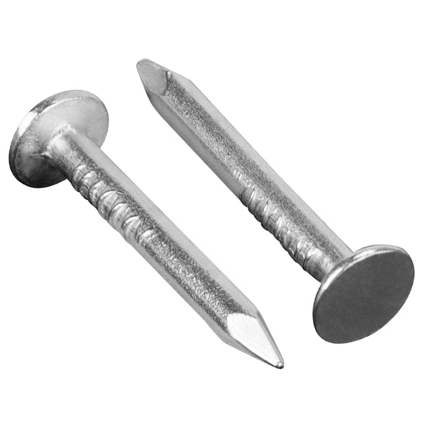 Tachuela para techo galvanizada 100grms