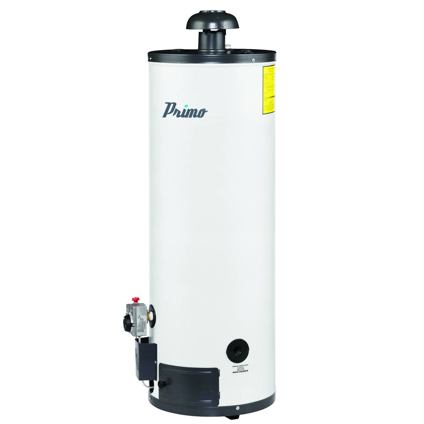 Boiler Calentador Deposito 60lts Gas LP 1.5 servicios